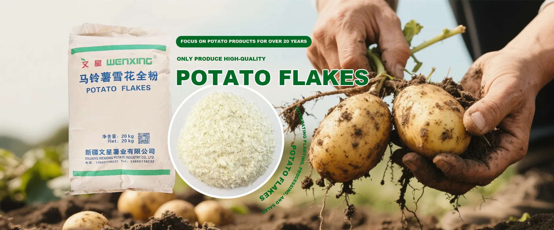 Fabbrica cinese di fiocchi di patate
