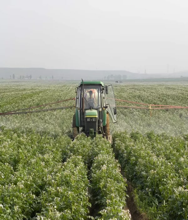 Xinjiang Wenxing Potato Industry Co., Ltd.